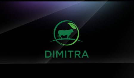 Dimitra (DMTR)_ Price Prediction