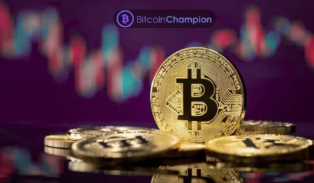 Bitcoin Champion Review